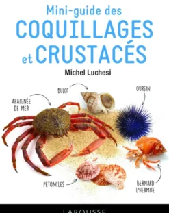Le mini-guide des coquillages et crustacés