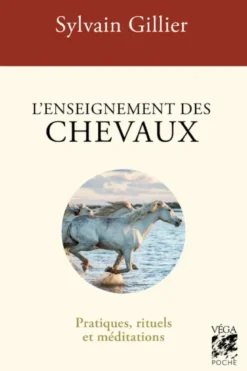 L'enseignement des chevaux - Pratiques, rituels et méditations