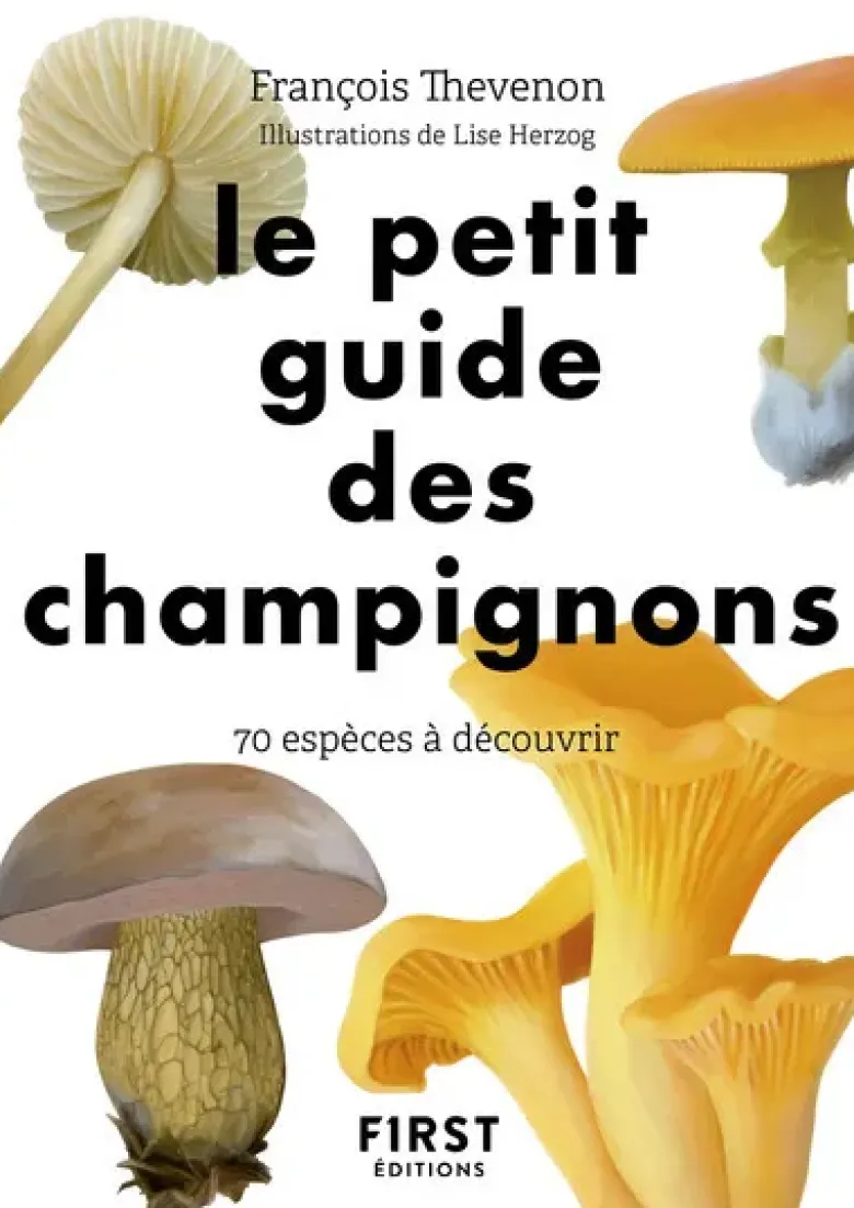 Le petit guide des champignons