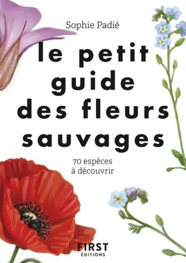 Le petit guide des fleurs sauvages
