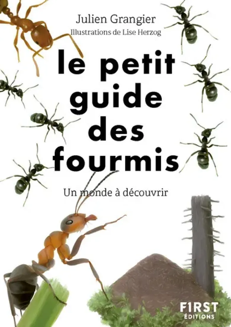 Le Petit guide des fourmis