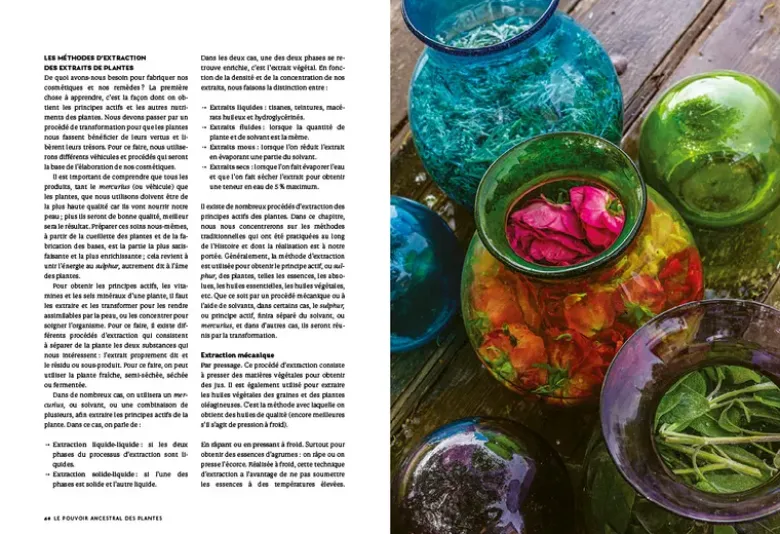 Le pouvoir ancestral des plantes