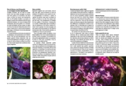 Le pouvoir ancestral des plantes