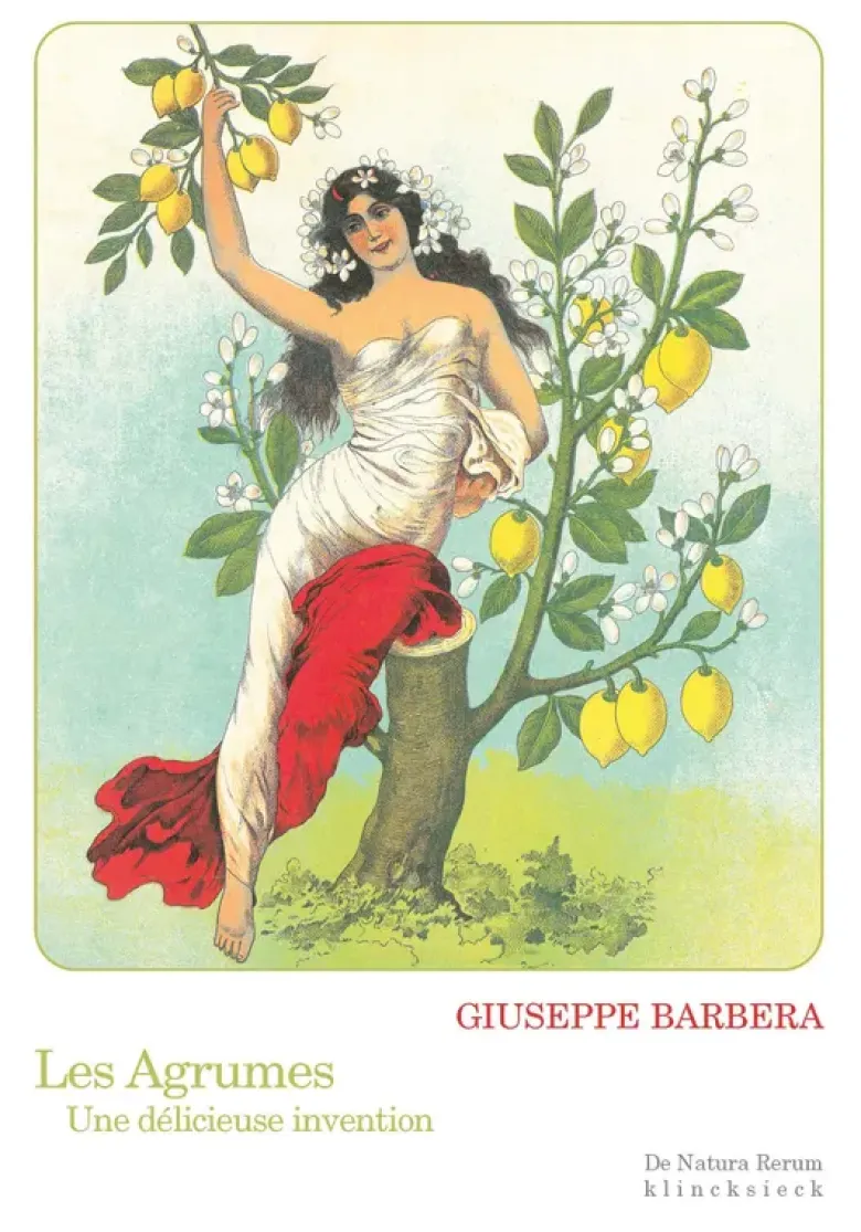 Les Agrumes