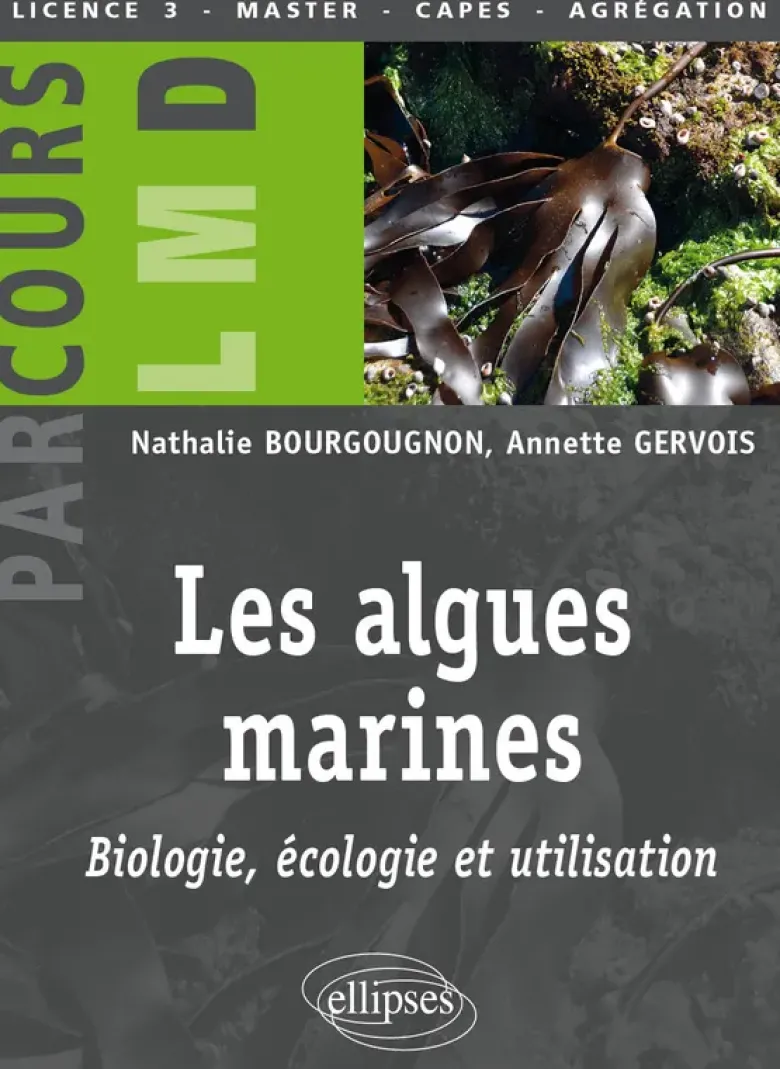 Les algues marines