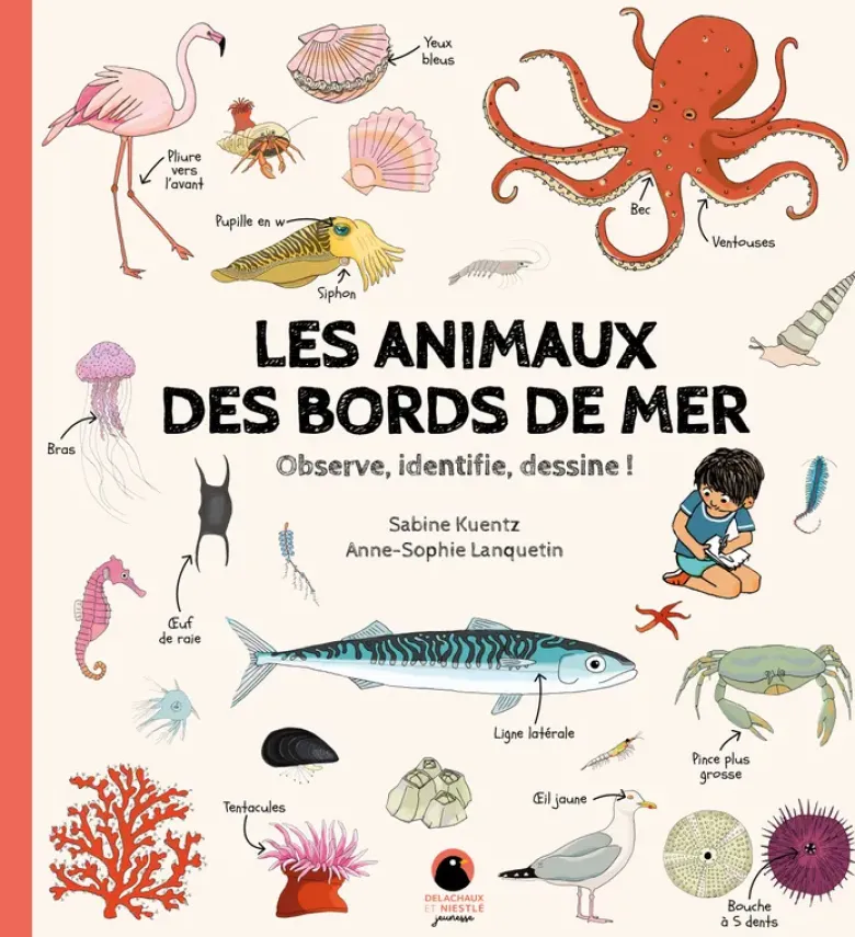 Les Animaux des bords de mer