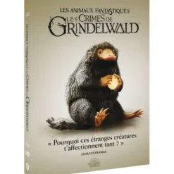 Les Animaux fantastiques : Les Crimes de Grindelwald - Icon - DVD (2018)