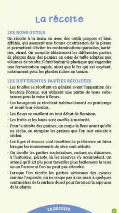 Les antisèches de Terre vivante : Plantes médicinales