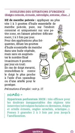 Les antisèches santé de Terre vivante : Trousses de soins naturels