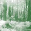 Les arts de la forêt