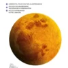 Les carnets du scarabée - Astronomie