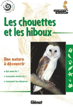 Les chouettes et les hiboux (2e ed)