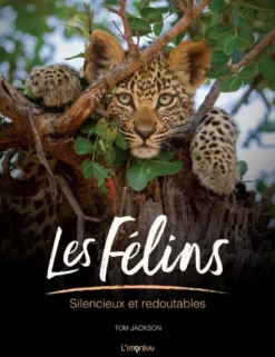 Les félins