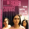 Les graines du figuier sauvage