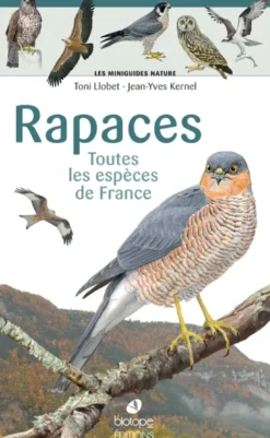 Les miniguides nature - Rapaces de France