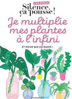 Les minis Silence ça pousse ! Je multiplie mes plantes à l'infini