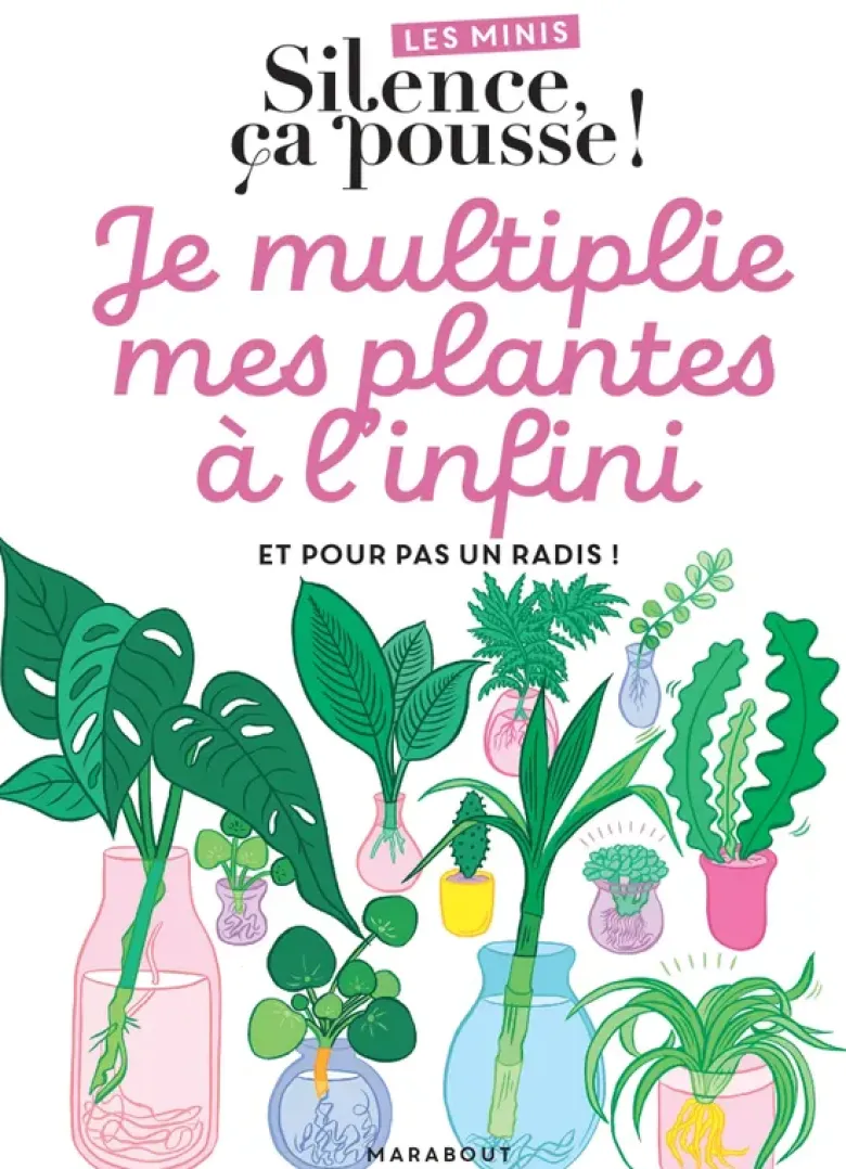 Les minis Silence ça pousse ! Je multiplie mes plantes à l'infini