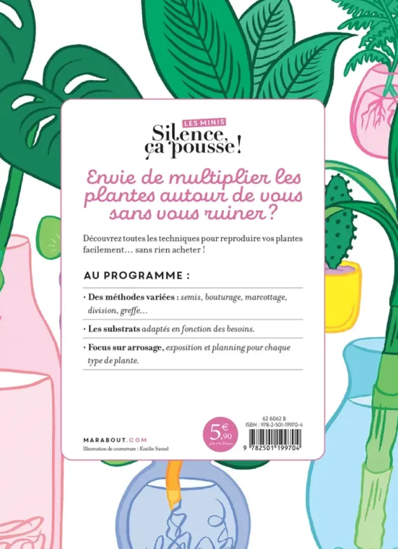 Les minis Silence ça pousse ! Je multiplie mes plantes à l'infini