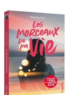 Les morceaux de ma vie