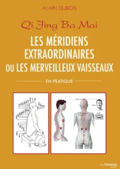 Les méridiens extraordinaires ou les merveilleux vaisseaux - En pratique
