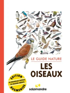 Les oiseaux