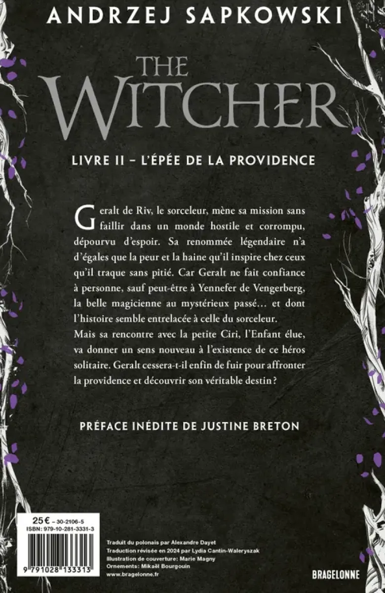 Le SorceleurSorceleur (Witcher), T2 : L'Épée de la Providence (édition reliée)