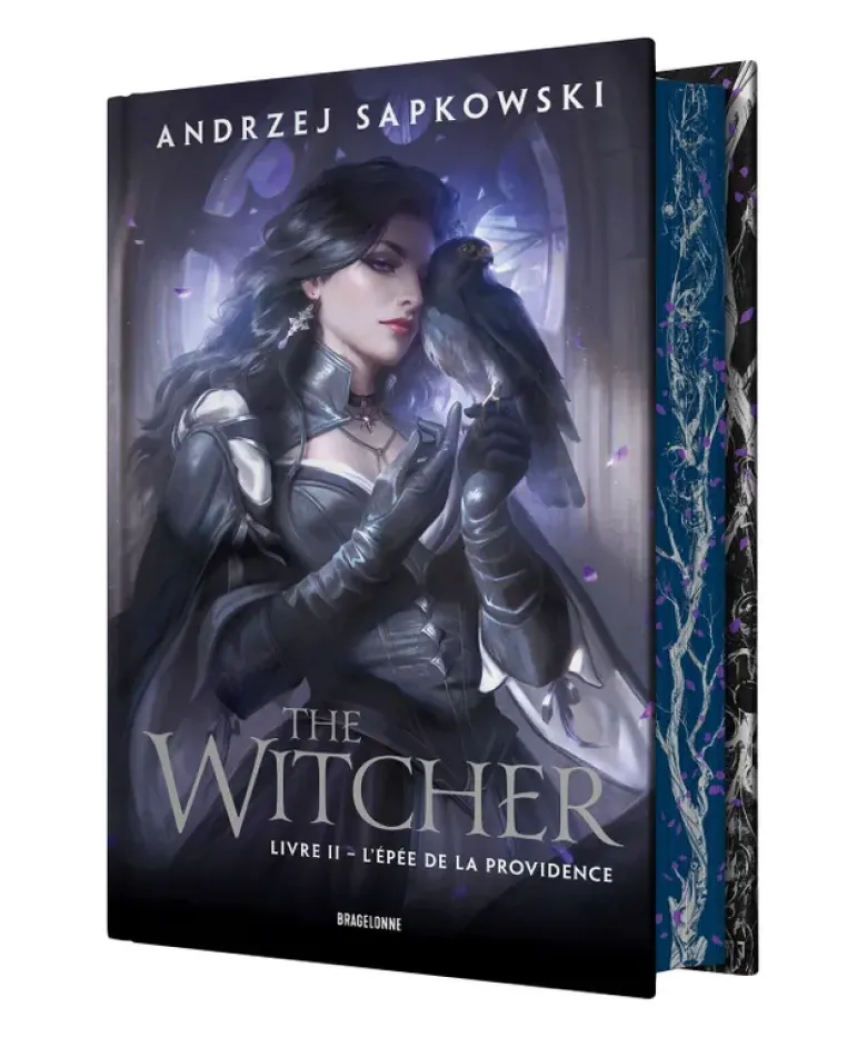 Le SorceleurSorceleur (Witcher), T2 : L'Épée de la Providence (édition reliée)