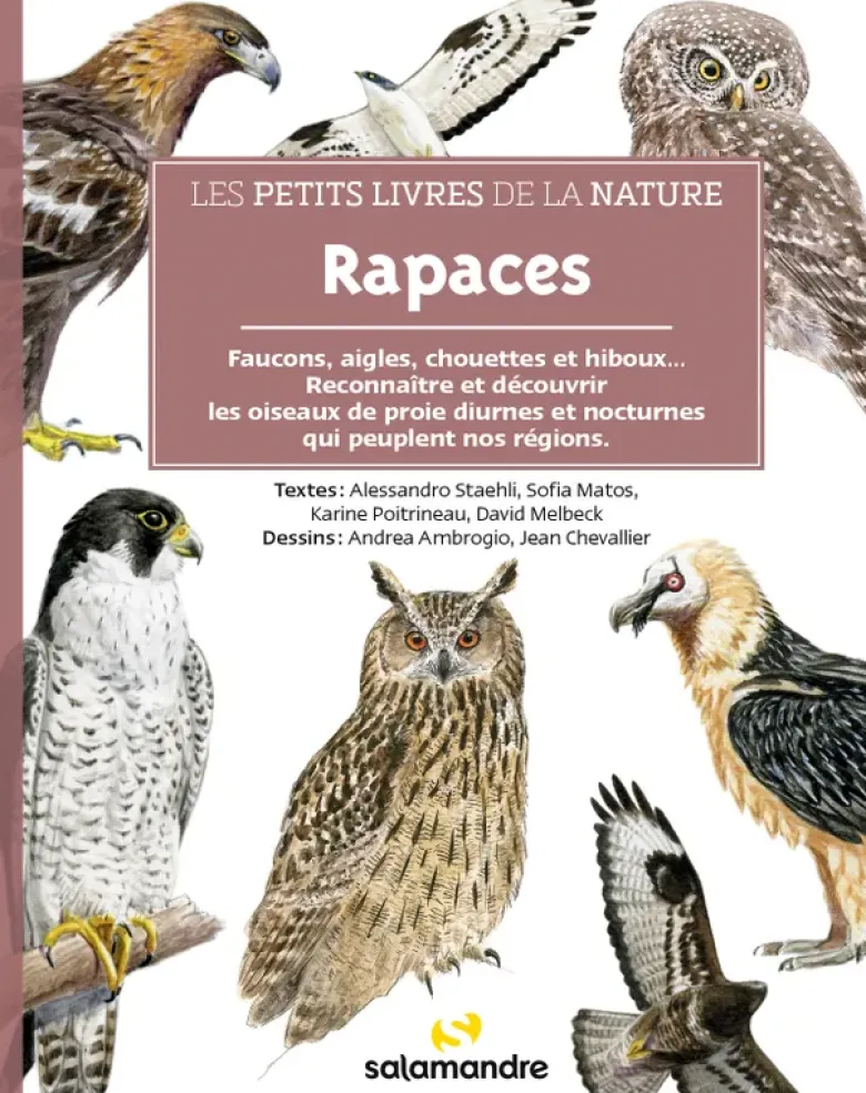 Les petits livres de la nature - Rapaces
