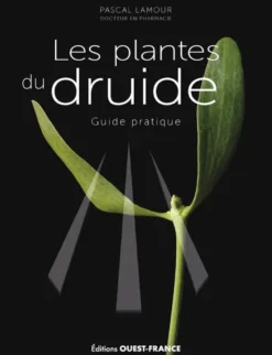 Les plantes du druide