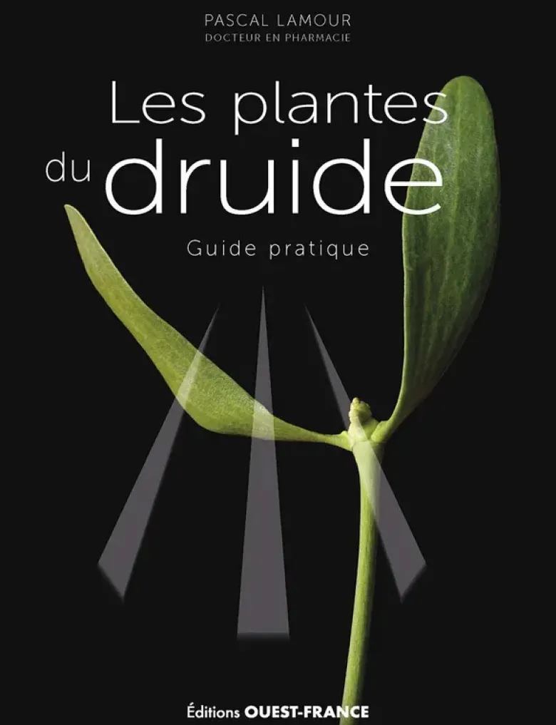 Les plantes du druide