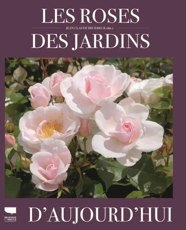 Les Roses des jardins d'aujourd'hui