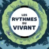 Les Rythmes du vivant