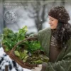 Les secrets du potager d'hiver