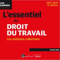 L'essentiel du droit du travail : les relations collectives