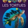 Les tortues