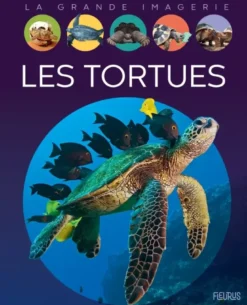 Les tortues
