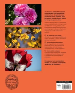 Les trésors du jardin