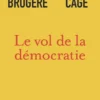 Le vol de la démocratie