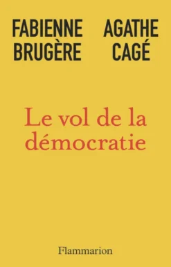 Le vol de la démocratie