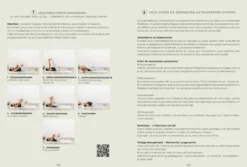 Le yogi moderne