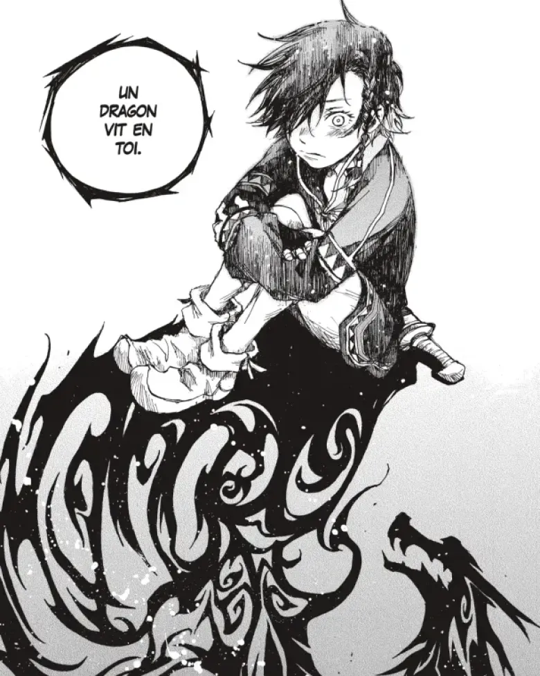 L'Héritière du dragon - Tome 01