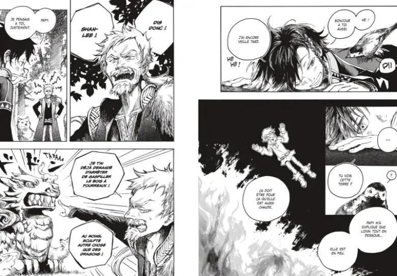 L'Héritière du dragon - Tome 01