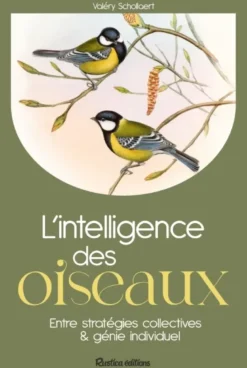 L'intelligence des oiseaux