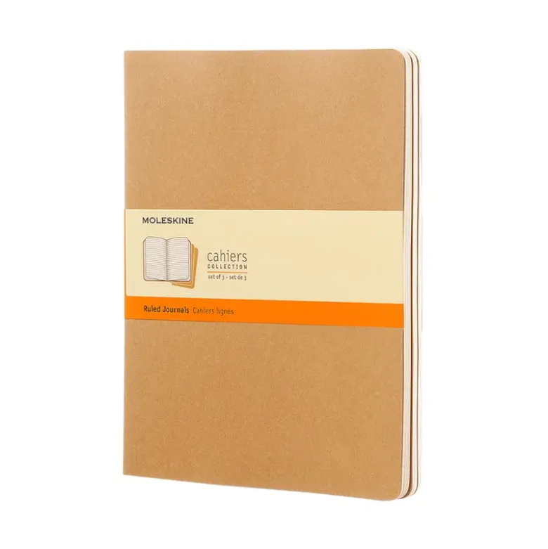Lot de 3grands carnets lignés craft