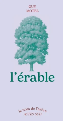 L'érable