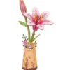 Lys rose - Maquette