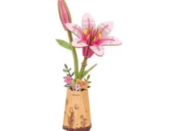 Lys rose - Maquette