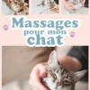 Massages pour mon chat