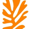 Matisse, 1941-1954