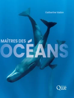 Maîtres des océans